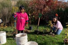 2021 Tree planting In Toronto Canada
