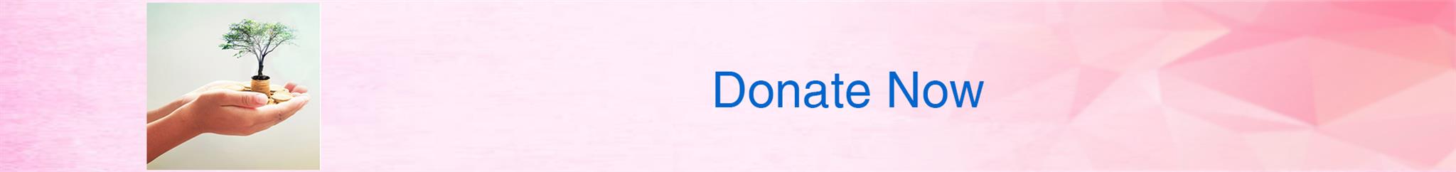 Donate Now